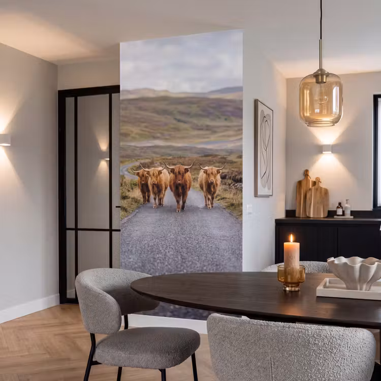 Tapete - Schottische Highlander - Straße - Landschaft - Herde — 5
