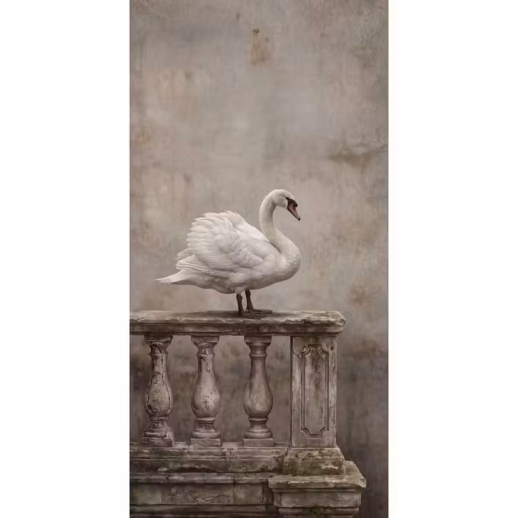Tapete - Schwan - Elegant - Tiere - Weiß — 2