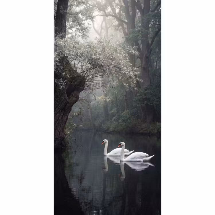 Tapete - Schwäne - Fluss - Wald — 2