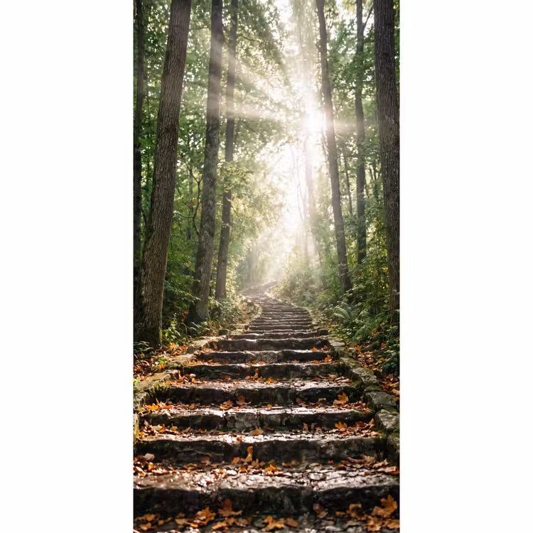 Tapete - Steine - Treppe - Wald - Natur — 2