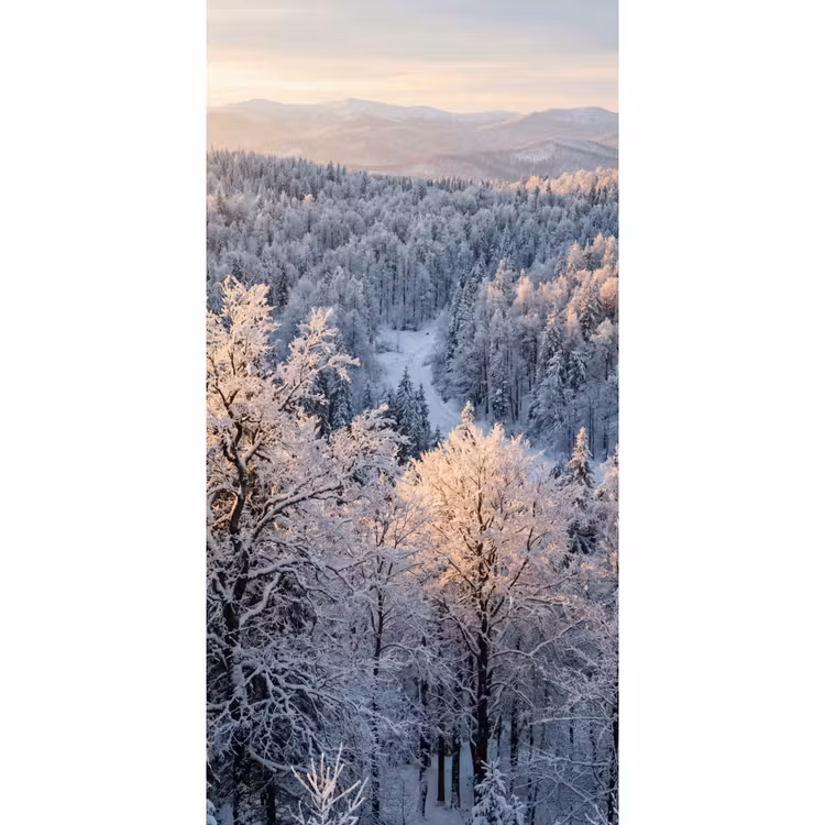 Tapete - Wald - Berge - Gold - Winter - Warm — 2