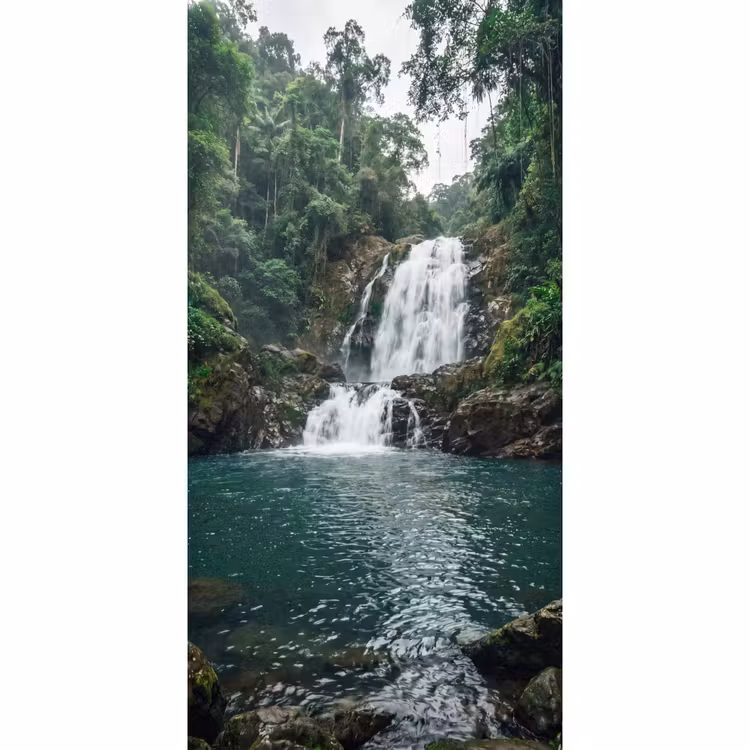 Tapete - Wasserfall - Wald - Natur - Greenkhgyguyg — 2