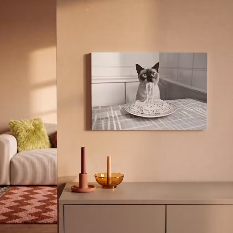 Leinwandbild - Katze - Siamese - Schwarz und weiß - Niedlich - Tiere — 2