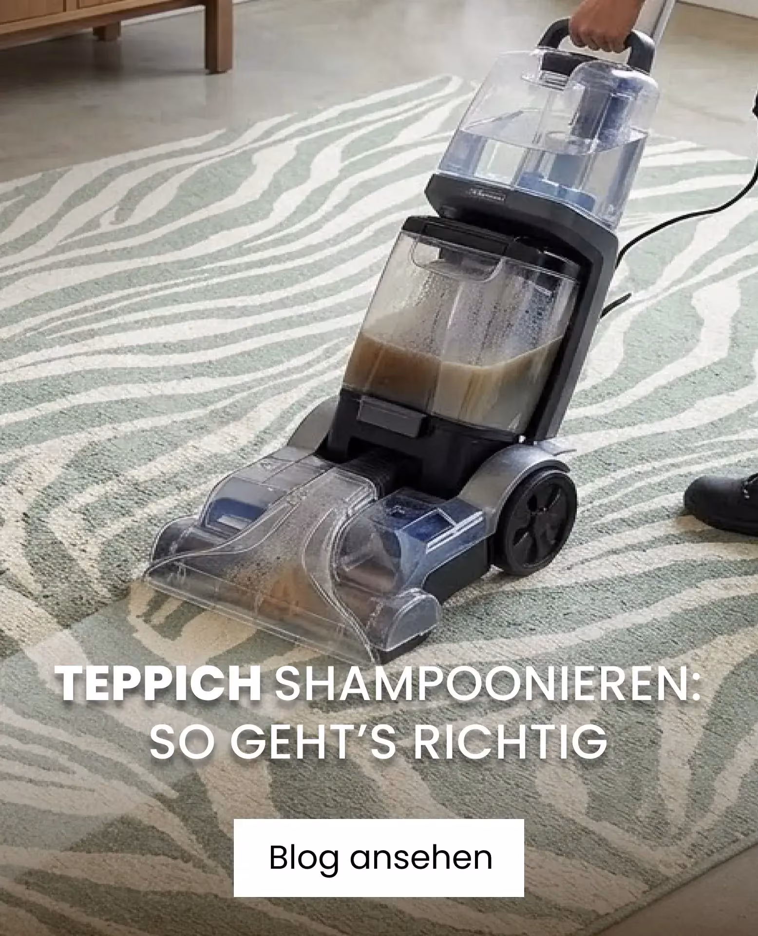 gruner teppich shampoonieren