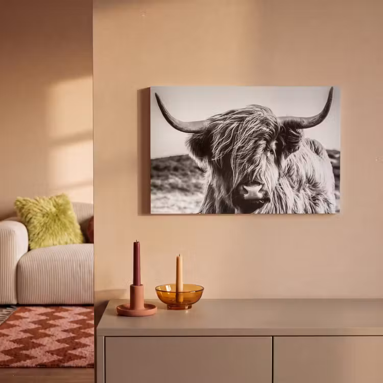 Leinwandbild - Schottischer Highlander - Nahaufnahme - Hörner - Mantel - Schwarz und weiß — 2
