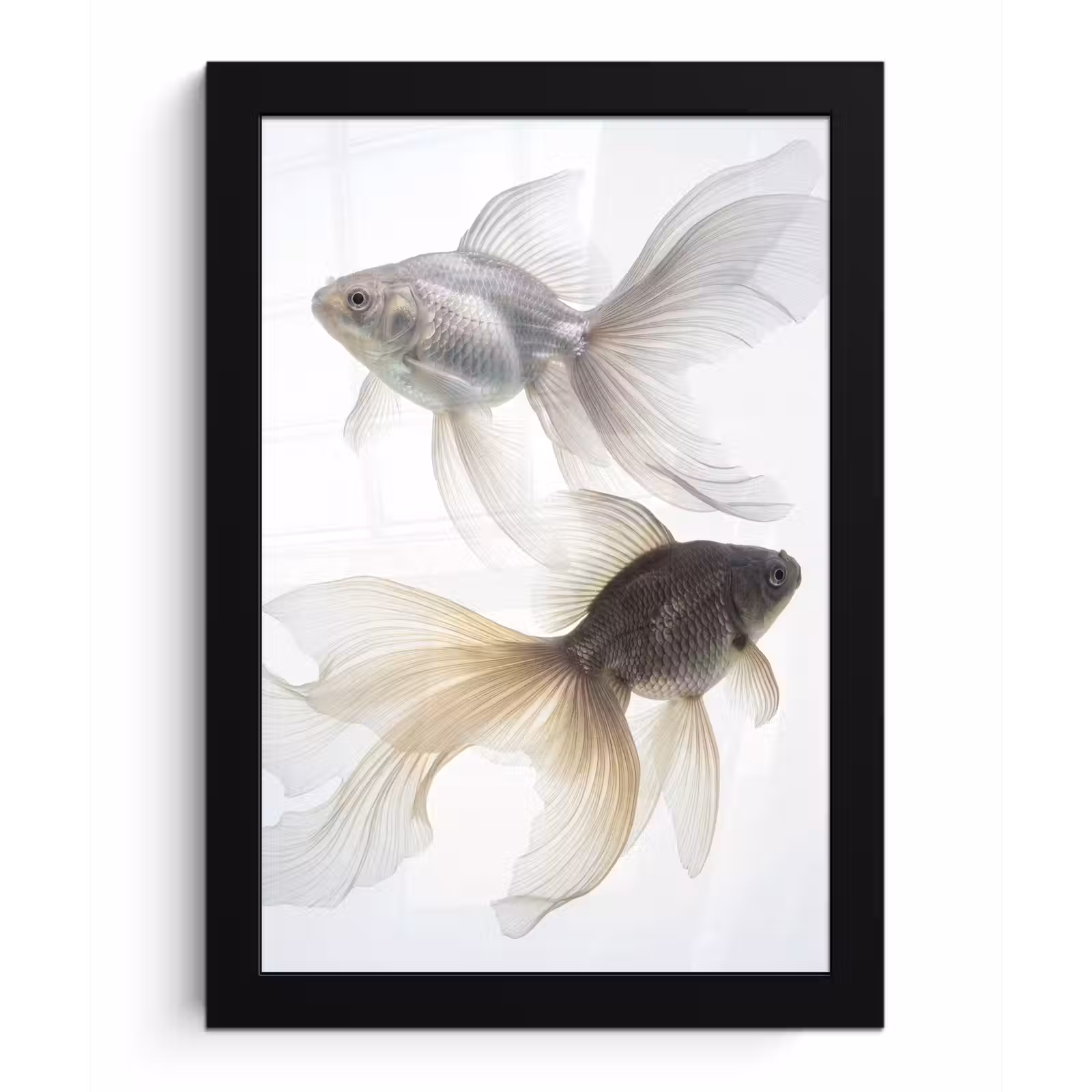 Bilder mit Rahmen - Goldfisch - Modern - Weiß — 1