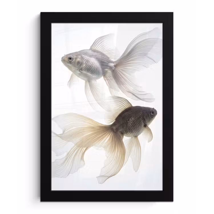 Bilder mit Rahmen - Goldfisch - Modern - Weiß — 1