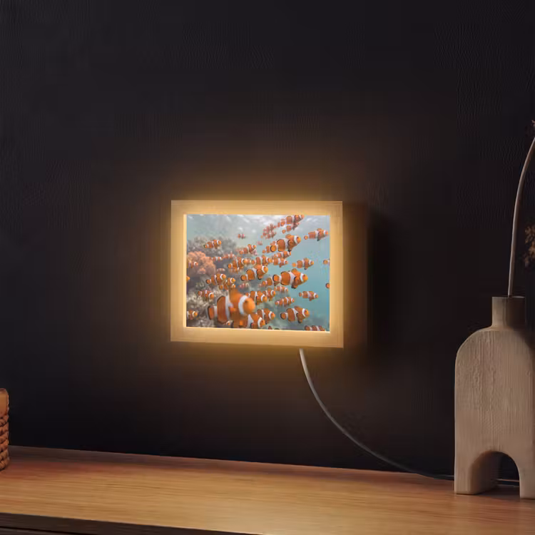 Lightbox - Wandleuchte - Fisch – Schwarm – Unterwasser – Tiere – Orange — 2
