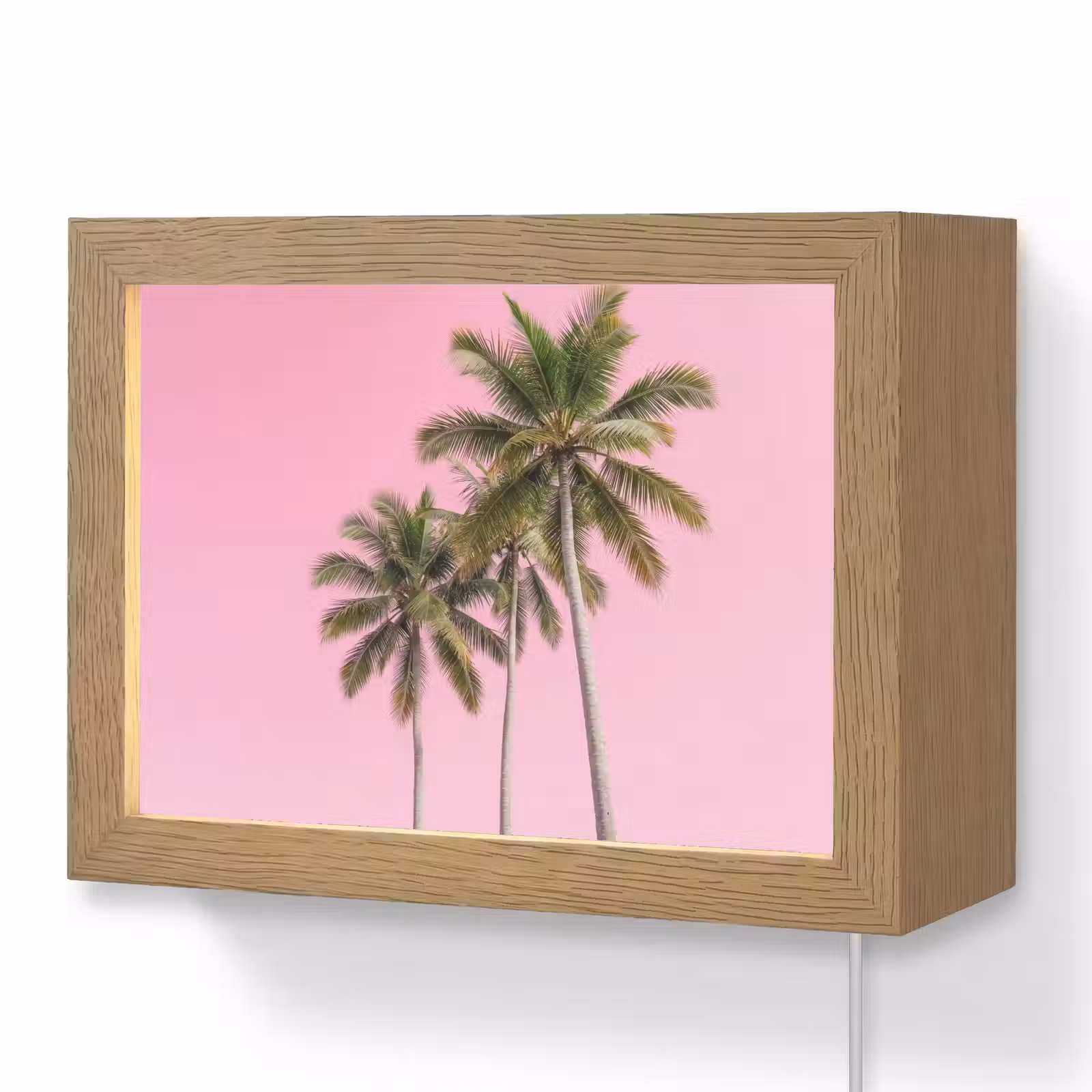 Lightbox - Wandleuchte - Palme - Tropisch - Rosa — 1