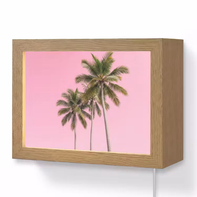 Lightbox - Wandleuchte - Palme - Tropisch - Rosa — 1
