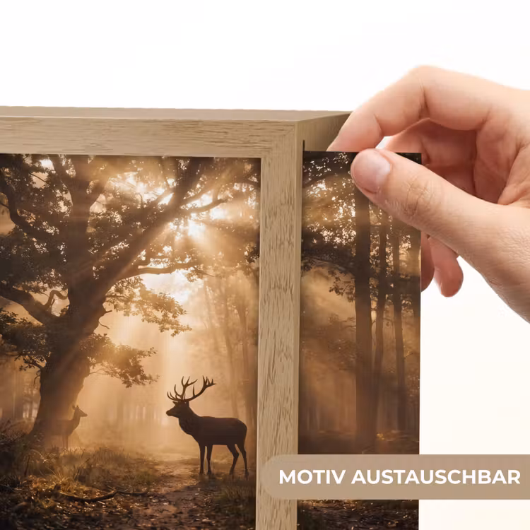 Lightbox - Wandleuchte - Hirsch - Wald - Neblig - Natur - Gold — 6