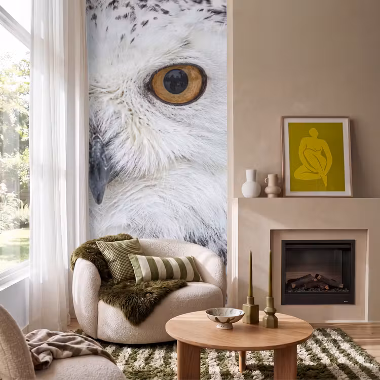 Tapete - Schneeeule - Auge - Wildtiere - Weiß — 1