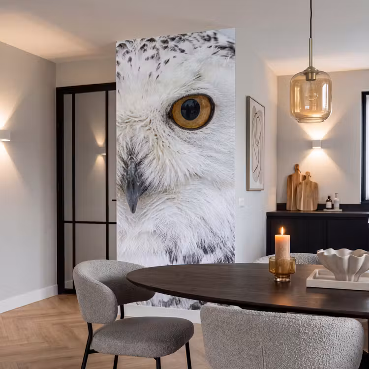 Tapete - Schneeeule - Auge - Wildtiere - Weiß — 5