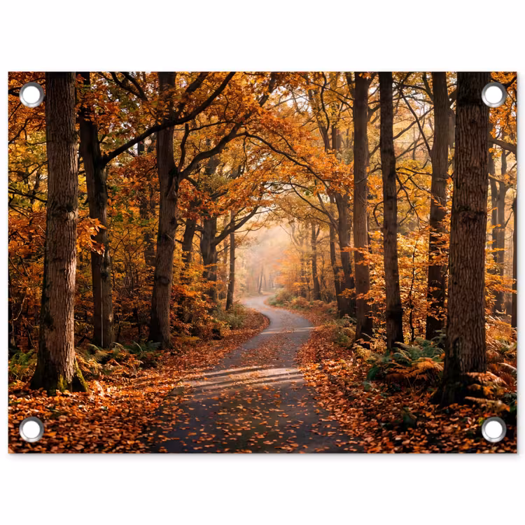 Gartenposter - Waldweg - Herbstwald - Blätter - Orange - Nostalgisch — 1
