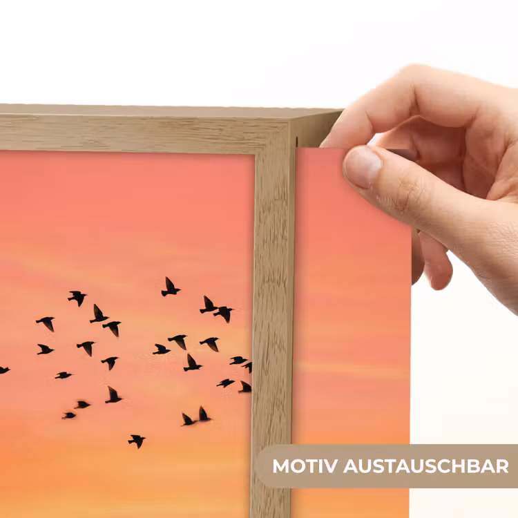 Lightbox - Wandleuchte - Schwarm - Vögel - Orange — 6