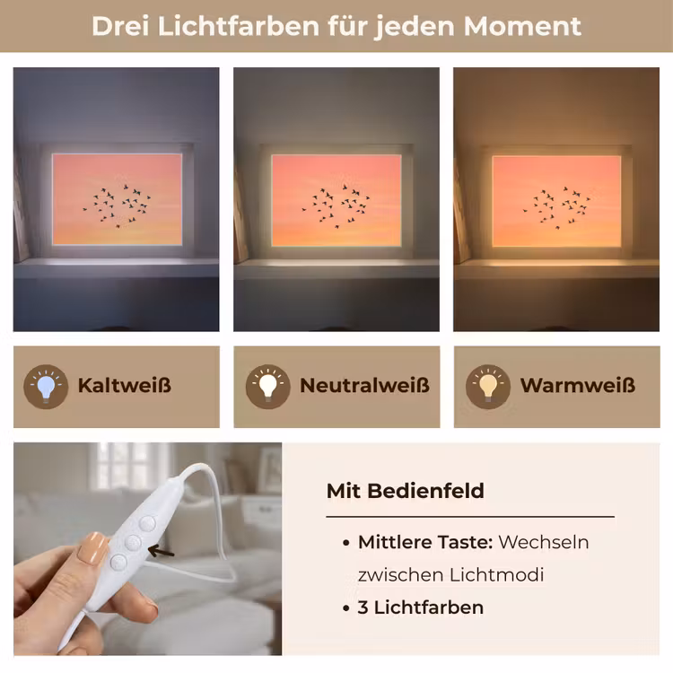 Lightbox - Wandleuchte - Schwarm - Vögel - Orange — 7