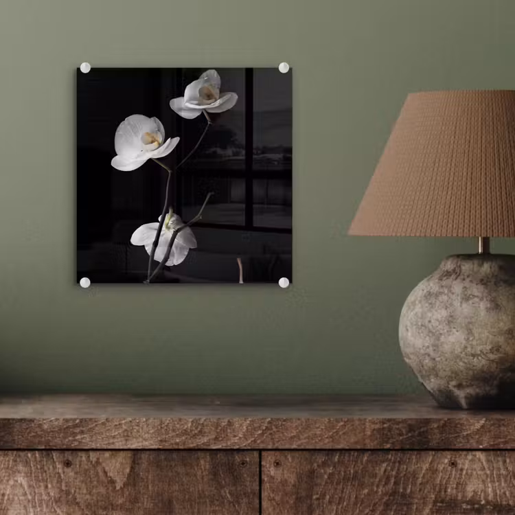 Glasbild - Orchidee - Blumen - Schwarz - Weiß - Stilleben — 4