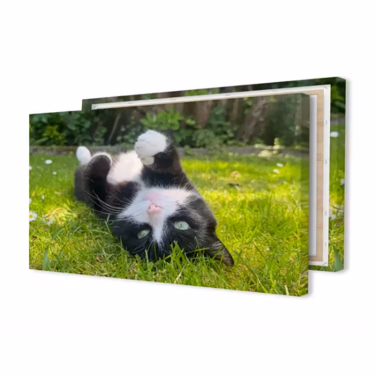 Foto auf Leinwand Panorama — 1