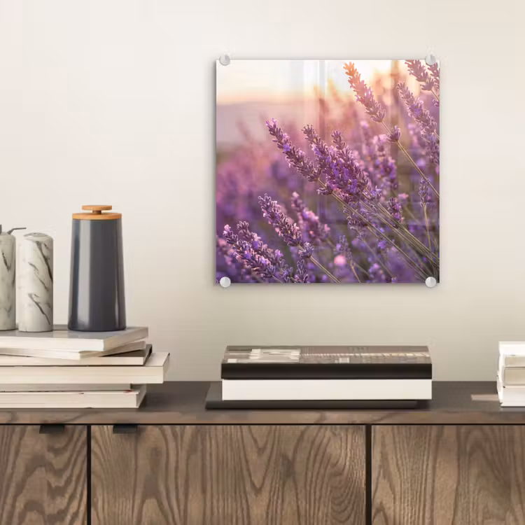 Glasbild - Lavendel - Lila - Sonnenlicht — 2