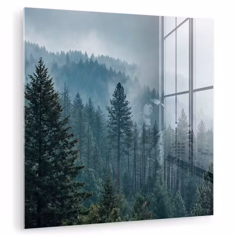 Glasbild - Nadelwald – Berge – Nebel — 1