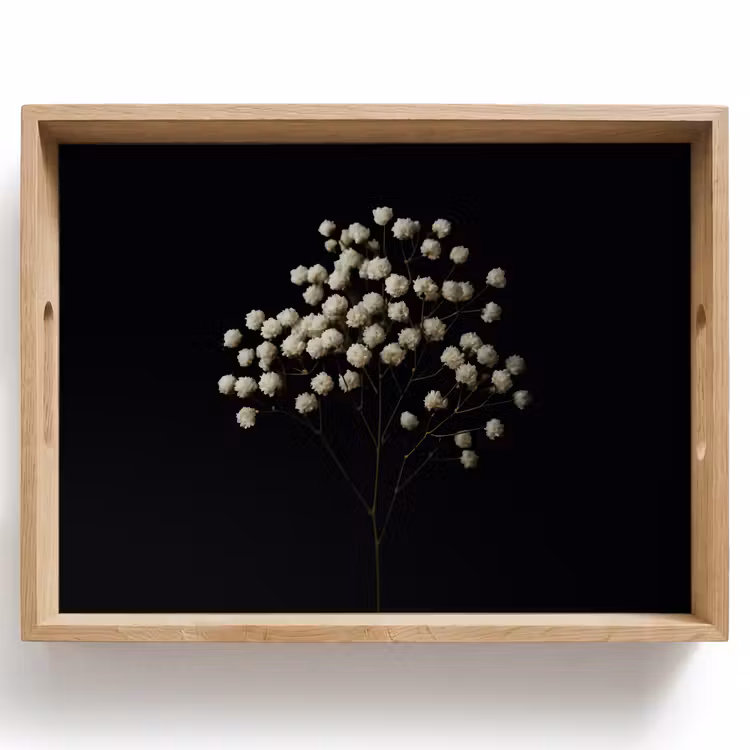 Tablett - Gipskraut - Blumen - Weiß - Minimalistisch — 1