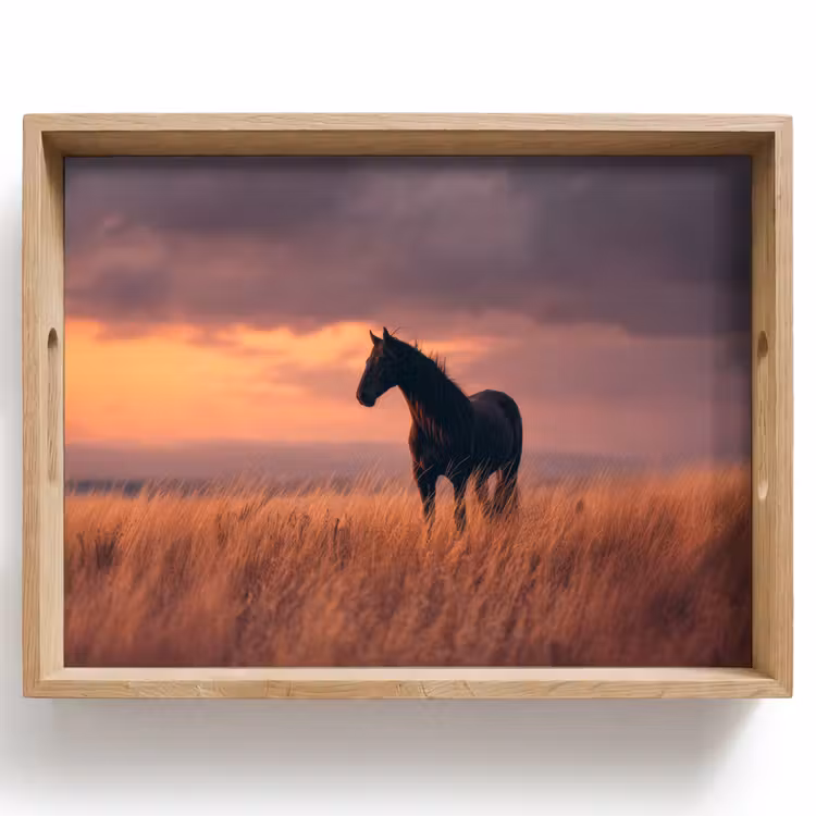 Tablett - Pferd - Wolken - Offenes Feld — 1