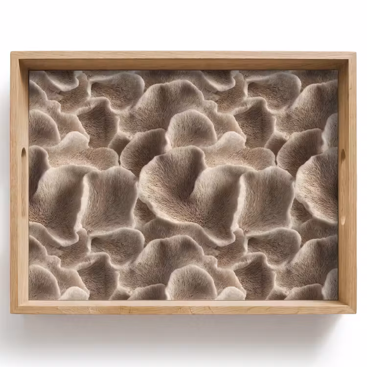 Tablett - Fächerform - Beige - Faserstruktur — 1
