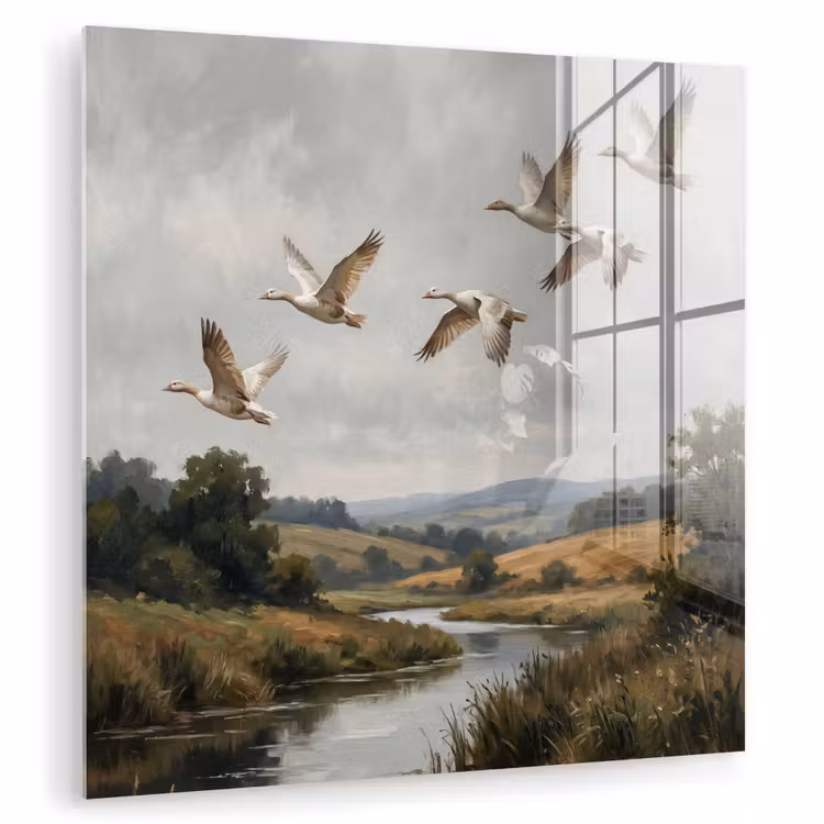 Glasbild - Enten - Fluss - Landschaft - Flug - Nostalgisch — 1
