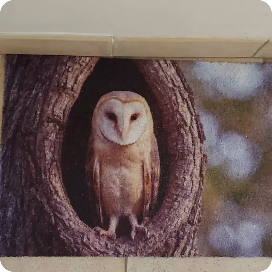 Kundenfoto