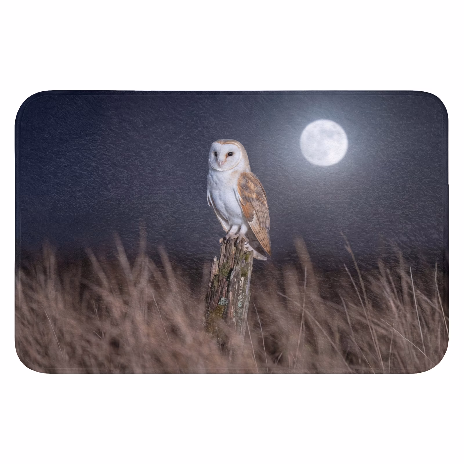 Badematte - Schleiereule - Mond - Nacht — 1