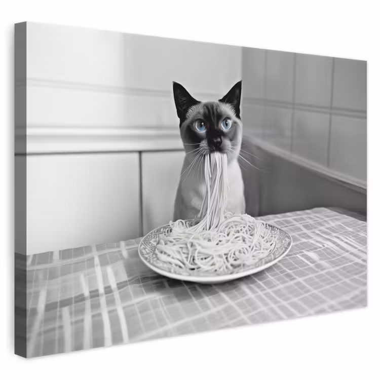 Leinwandbild - Katze - Siamese - Schwarz und weiß - Niedlich - Tiere — 1