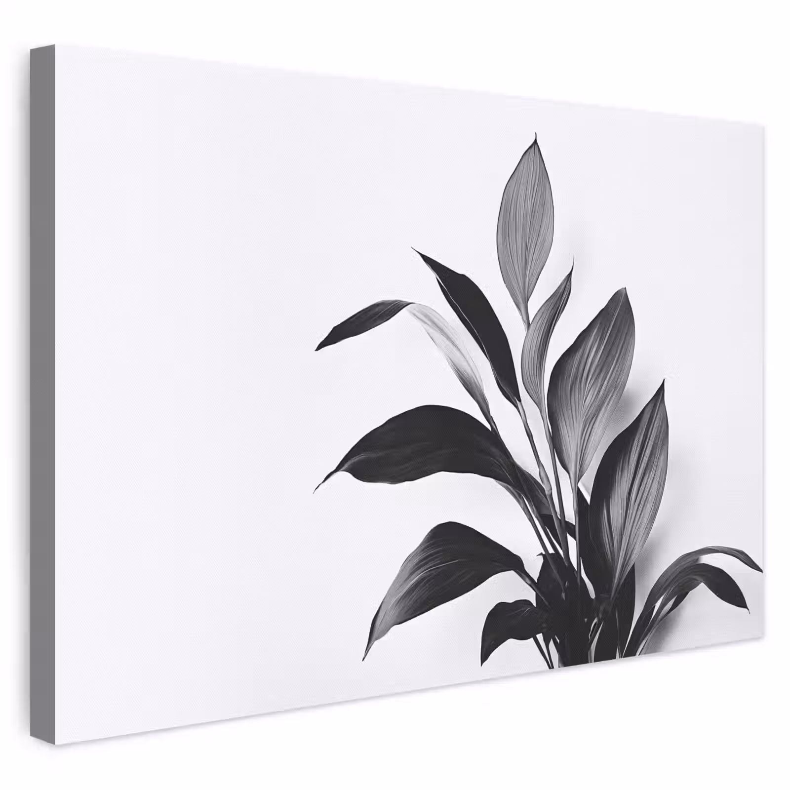 Leinwandbild - Pflanze - Blätter - Minimalistisch - Schwarz — 1