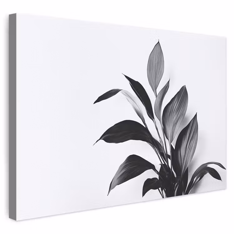 Leinwandbild - Pflanze - Blätter - Minimalistisch - Schwarz — 1