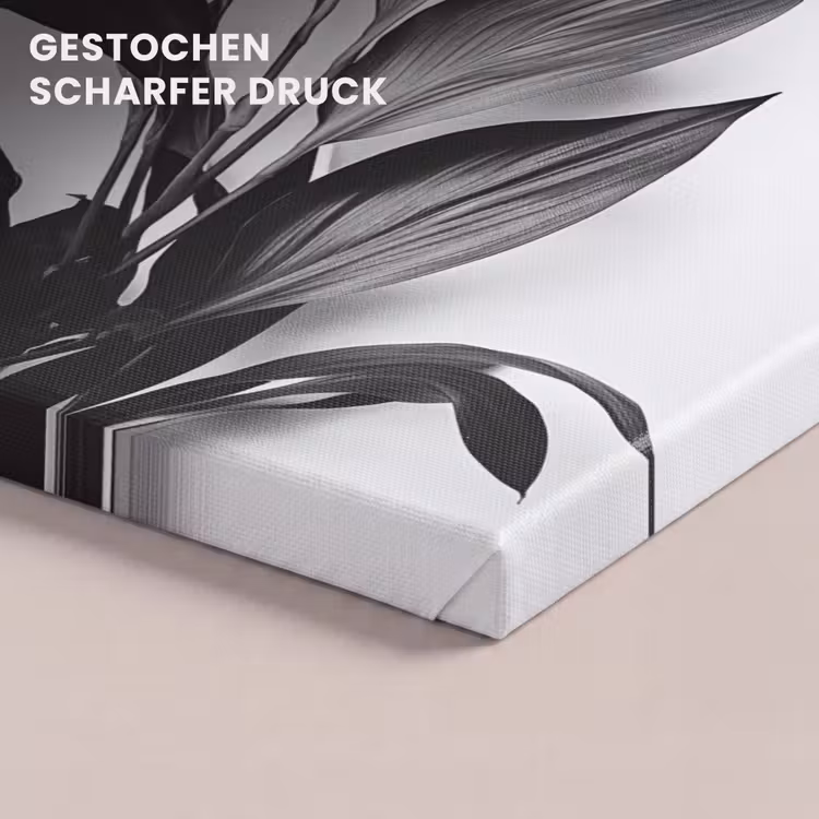 Leinwandbild - Pflanze - Blätter - Minimalistisch - Schwarz — 4