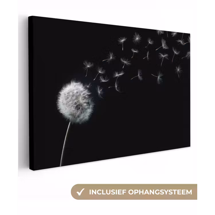 Leinwandbild - Löwenzahn - Schwarz - Natur — 1