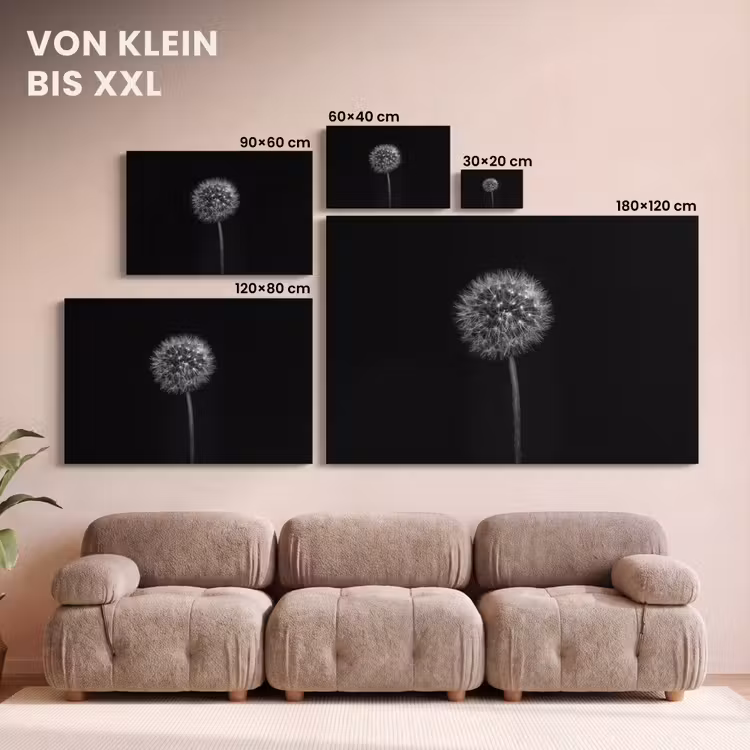 Leinwandbild - Löwenzahn - Schwarz - Floral - Botanisch — 6