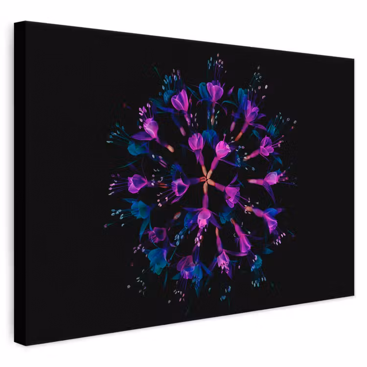 Leinwandbild - Blume - Lila - Blau - Makro - Schwarz — 1