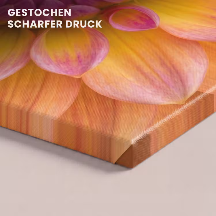 Leinwandbild - Dahlie - Blume - Orange — 4
