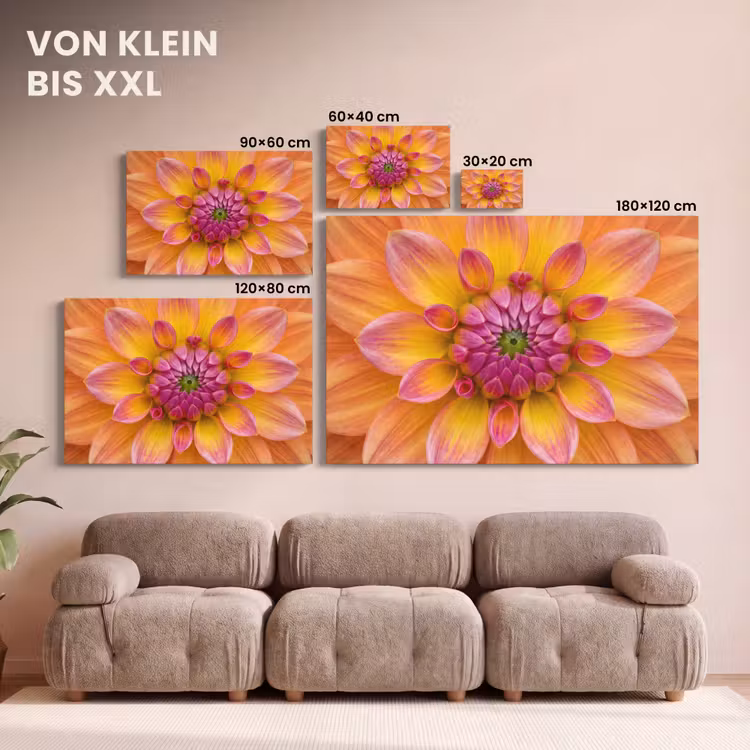 Leinwandbild - Dahlie - Blume - Orange — 6