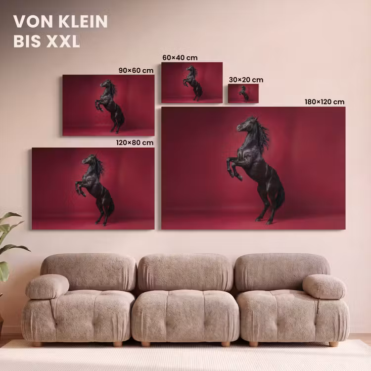 Leinwandbild - Hengst - Steigert - Rot — 6