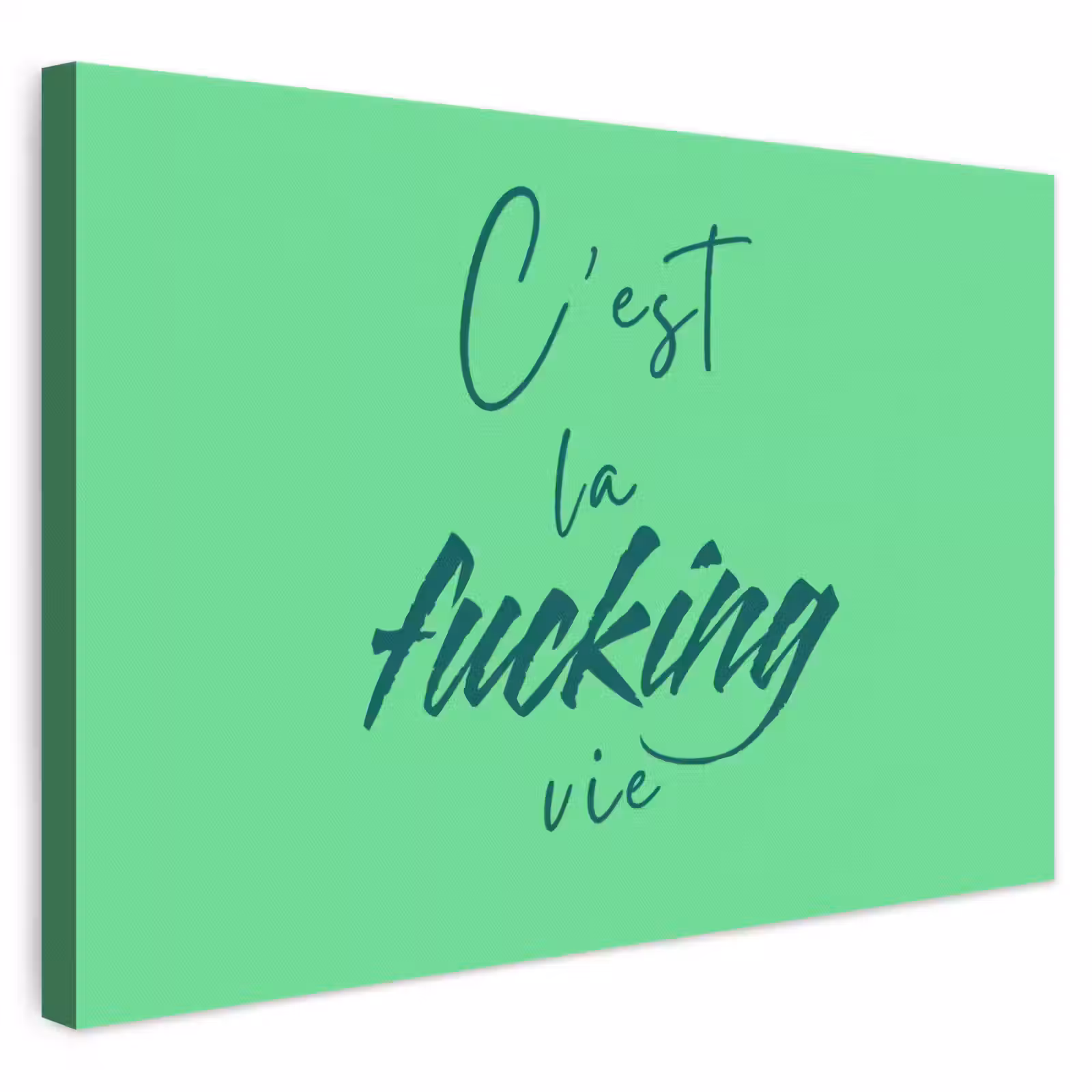 Leinwandbild - c'est la fucking vie - Grün - Bürstenstil — 1