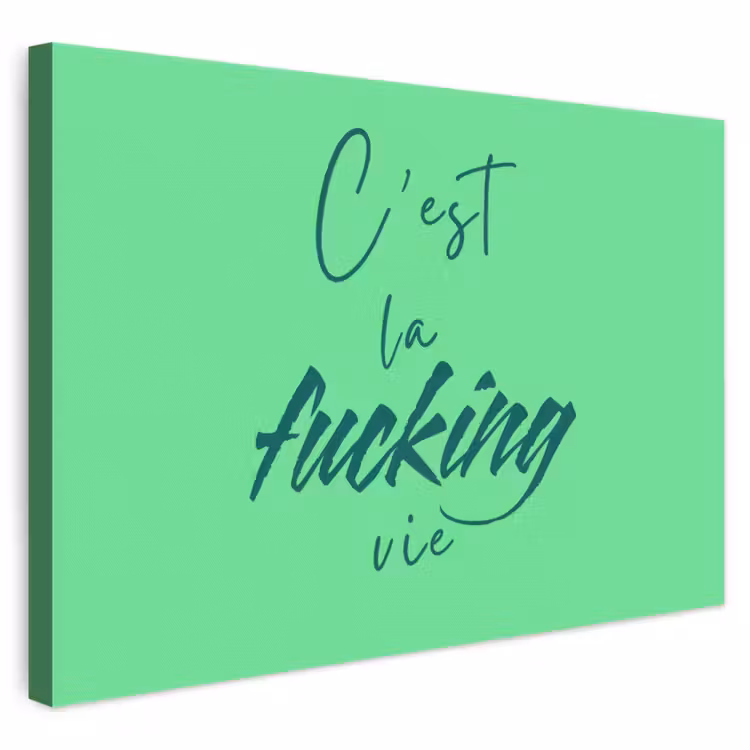 Leinwandbild - c'est la fucking vie - Grün - Bürstenstil — 1