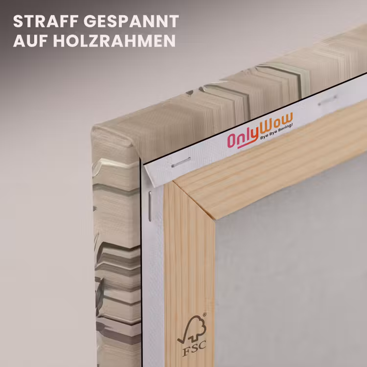 Leinwandbild - Olivenpflanze - Tontopf - Abstrakt - Beige — 5