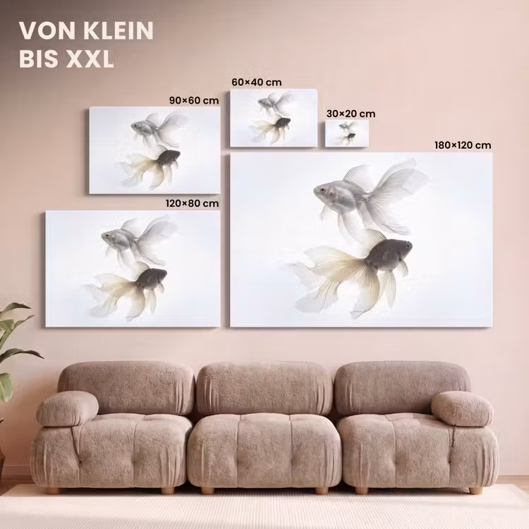 Leinwandbild - Goldfisch - Modern - Weiß — 6