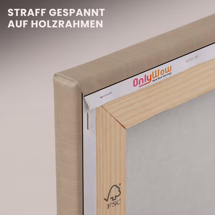 Leinwandbild - Frau - Asien - Kunst - Beige — 5