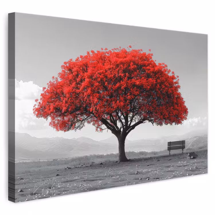 Leinwandbild - Baum - Rot - Natur - Schwarz und weiß — 1