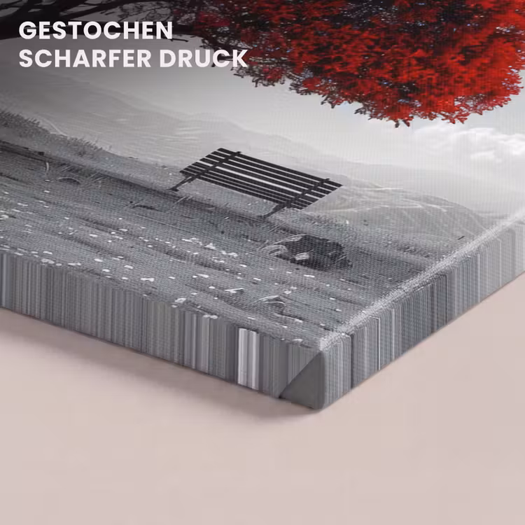 Leinwandbild - Baum - Rot - Natur - Schwarz und weiß — 4