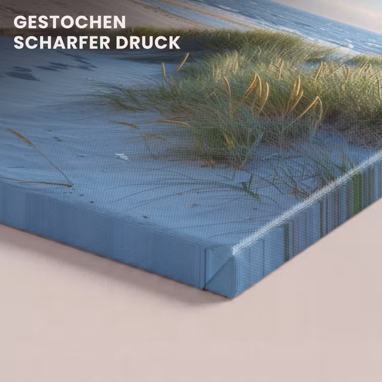Leinwandbild - Duinen - Zomer - Zon - Landschap - Zee — 4