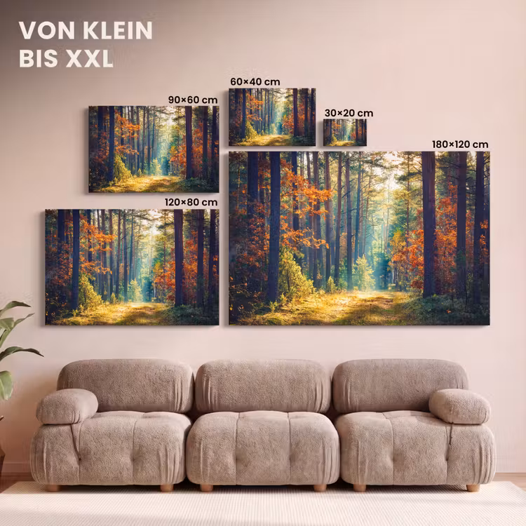 Leinwandbild - Wald - Sonne - Natur - Herbst — 6