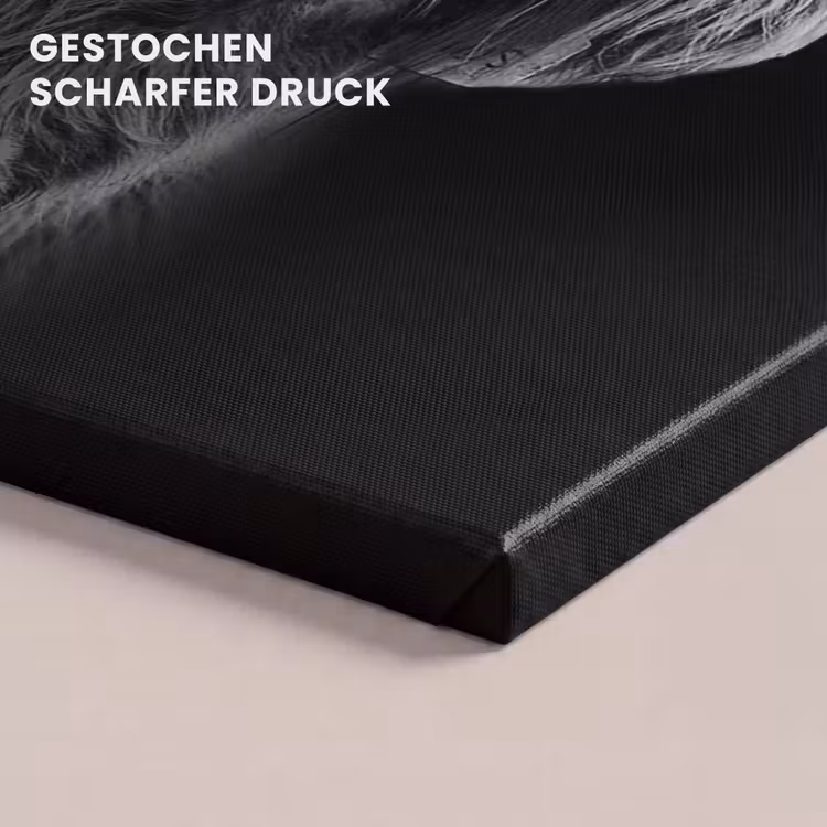 Leinwandbild - Schottischer Highlander - Schwarz - Kuh - Tiere — 4